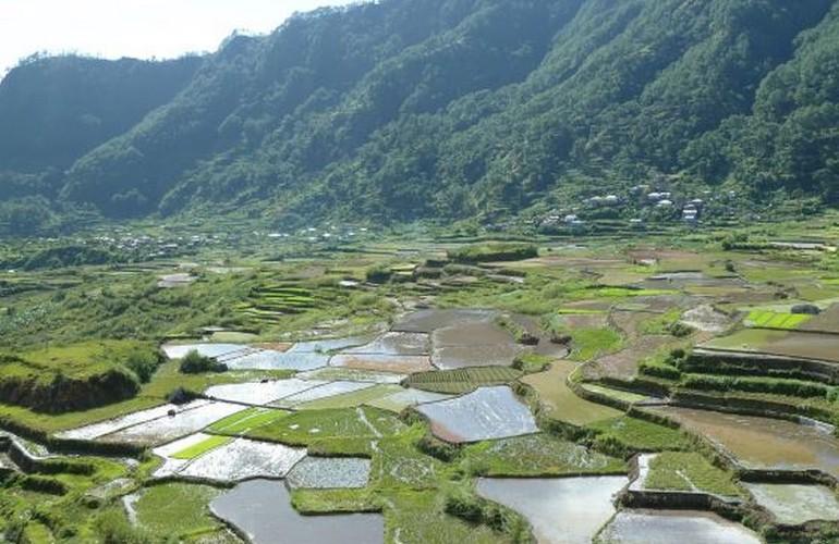 Rice terraces, Masferre Country Inn and Restaurant