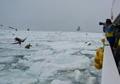 Drift ice cruise from Abashiri