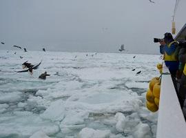 Drift ice cruise from Abashiri