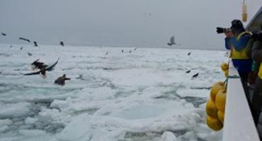 Drift ice cruise from Abashiri