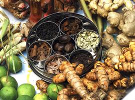 Spices, Penang