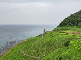 Shiroyone Senmaida Rice Terraces, Noto Peninsula