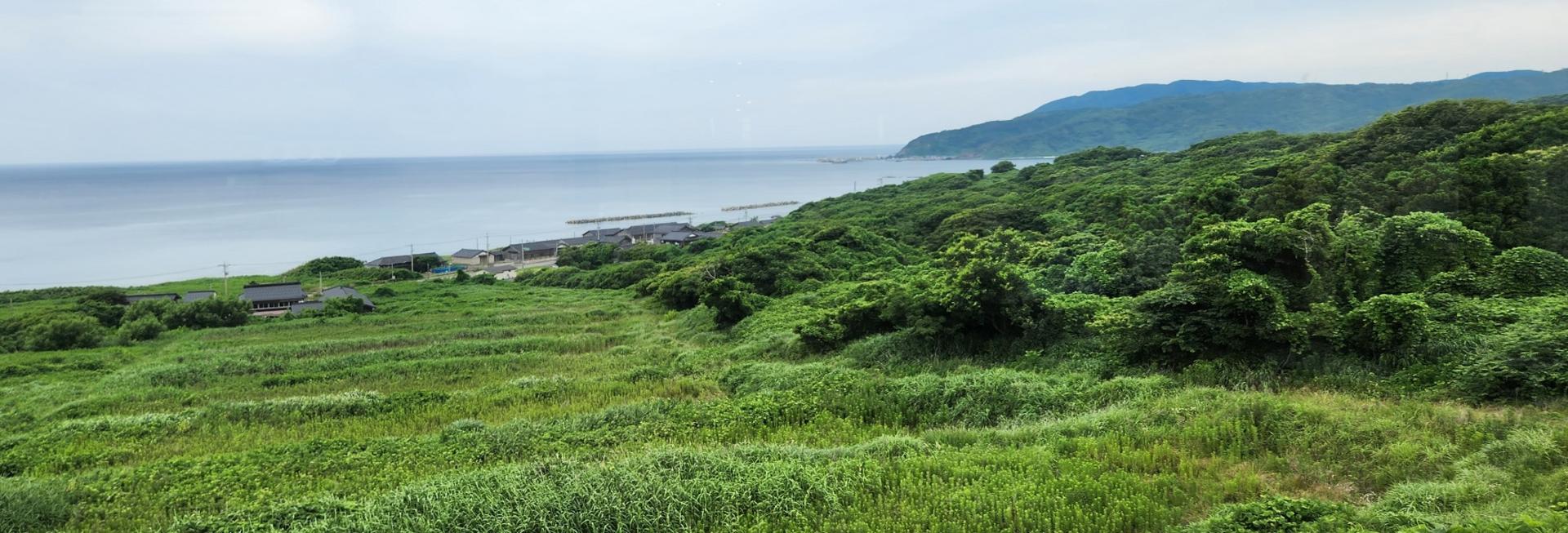 Rugged coastline, Noto Peninsula