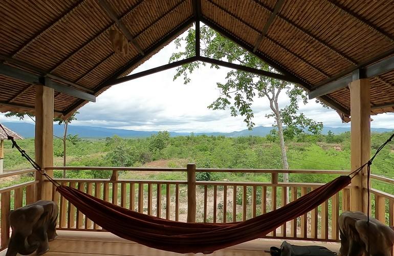 Hammock, The Bush Camp
