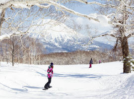 Niseko