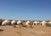 Stay overnight in a Yurt Camp