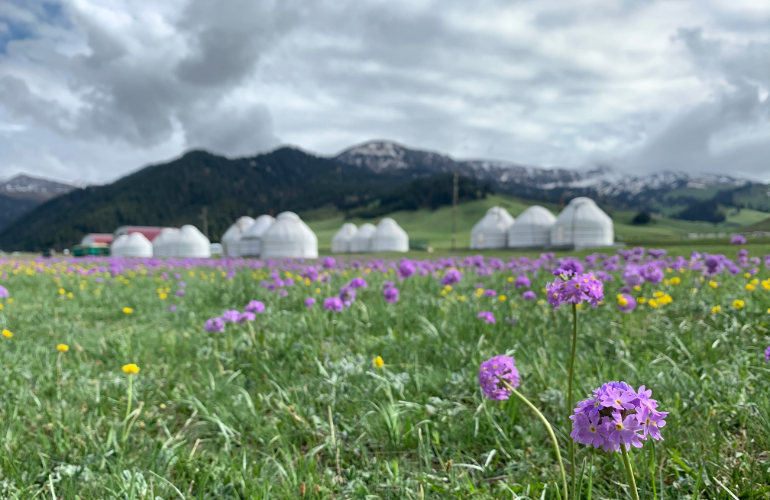 Yurts in Karkara Valley