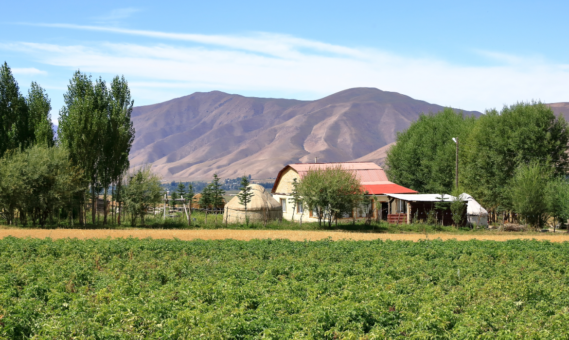 Village in Chon Kemin