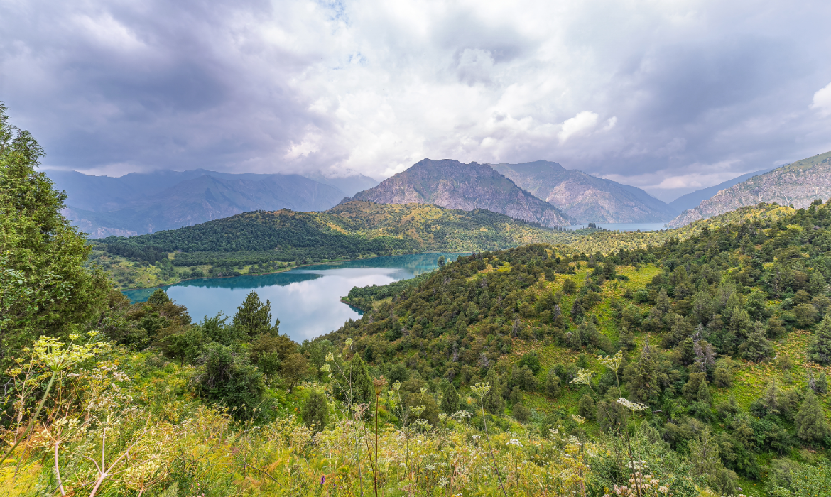 Sary Chelek National Park