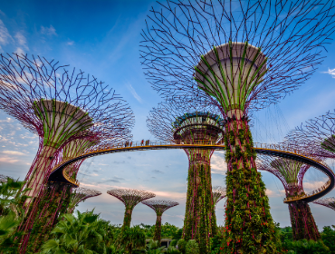 Gardens by the Bay, Singapore